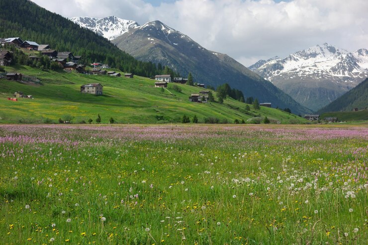 Zdjęcie sceniczny widok pola i gór na tle nieba