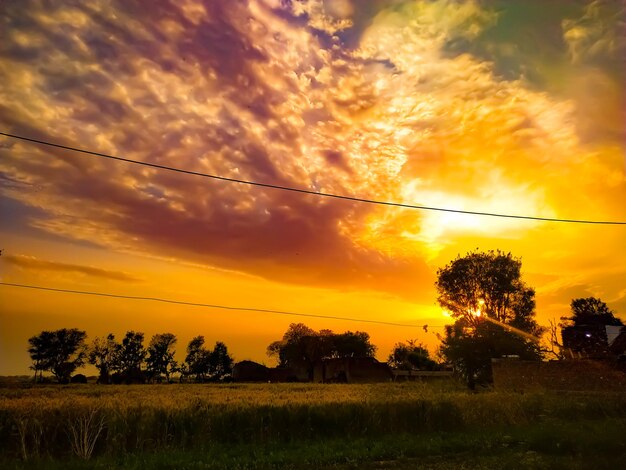 Zdjęcie sceniczny widok pola na pomarańczowym niebie