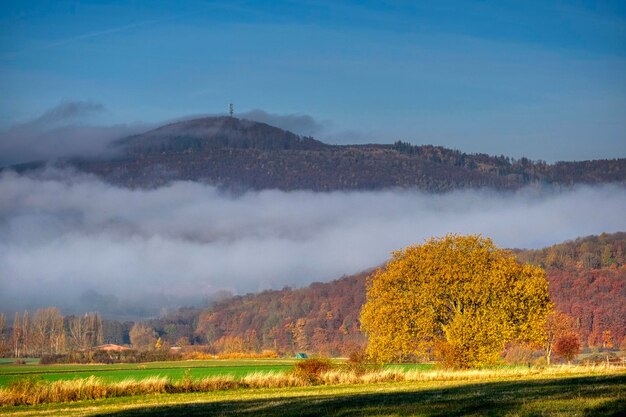 Sceniczny Widok Pola Na Tle Nieba Jesienią