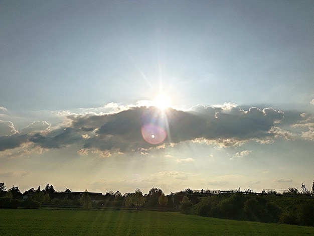 Sceniczny Widok Pola Na Tle Nieba W Słoneczny Dzień