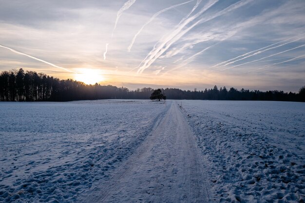 Sceniczny widok pola na tle nieba w zimie