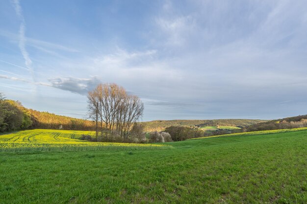 Zdjęcie sceniczny widok pola na tle nieba