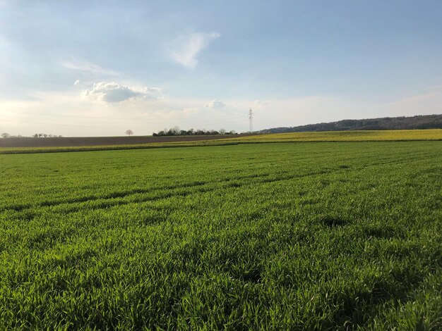 Zdjęcie sceniczny widok pola na tle nieba