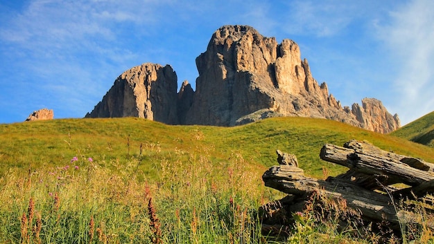 Zdjęcie sceniczny widok pola na tle nieba