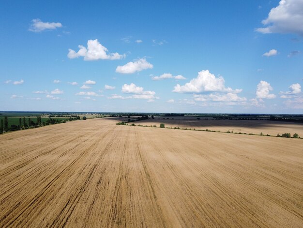 Zdjęcie sceniczny widok pola na tle nieba