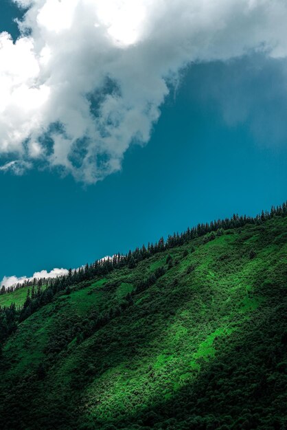 Sceniczny widok pola na tle nieba