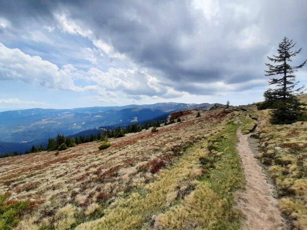 Zdjęcie sceniczny widok pola na tle nieba