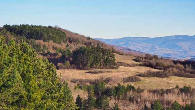 Zdjęcie sceniczny widok pola na tle nieba