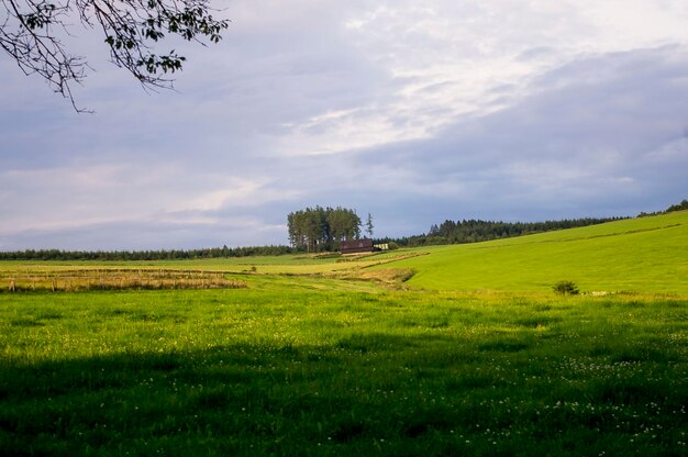 Zdjęcie sceniczny widok pola na tle nieba