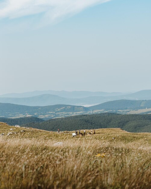 Zdjęcie sceniczny widok pola na tle nieba