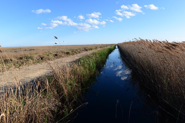 Zdjęcie sceniczny widok pola na tle nieba