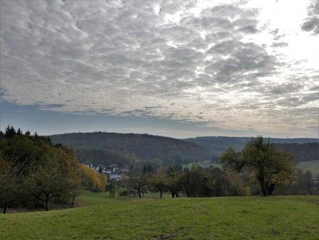 Zdjęcie sceniczny widok pola na tle nieba