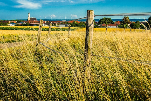 Zdjęcie sceniczny widok pola na tle nieba