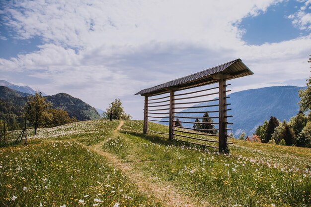 Sceniczny widok pola na tle nieba