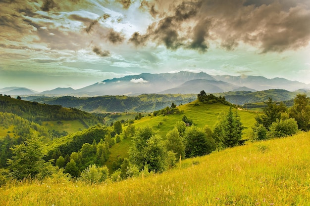 Sceniczny widok pola na tle nieba