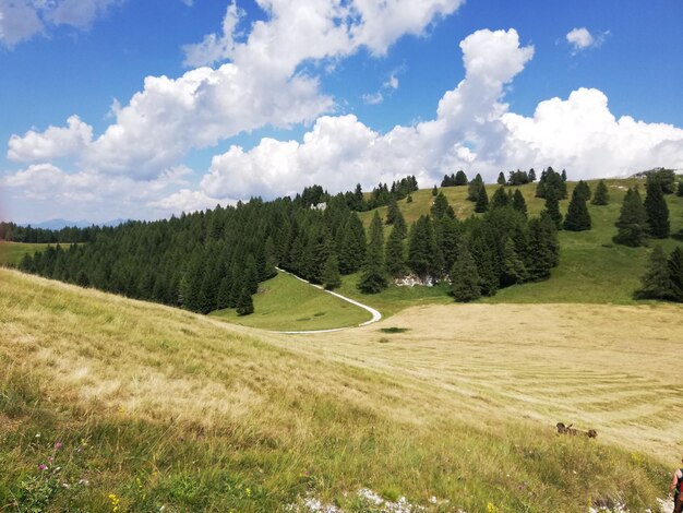 Zdjęcie sceniczny widok pola na tle nieba