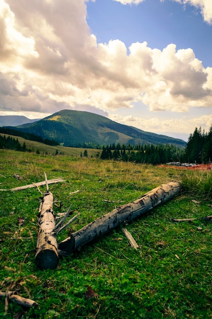 Zdjęcie sceniczny widok pola na tle nieba