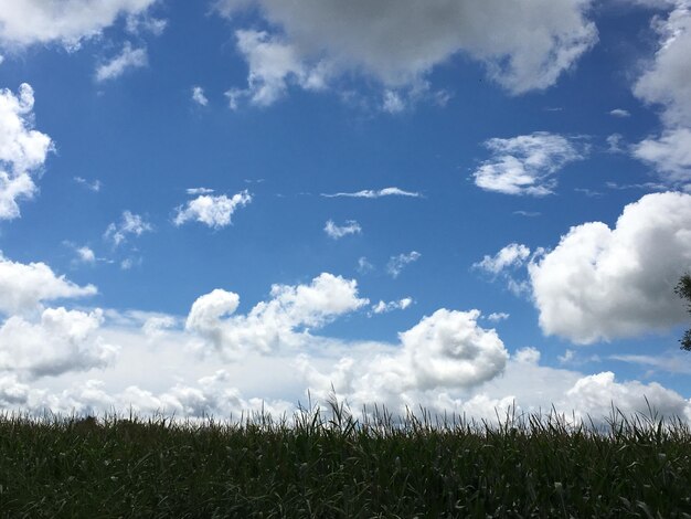 Zdjęcie sceniczny widok pola na tle nieba