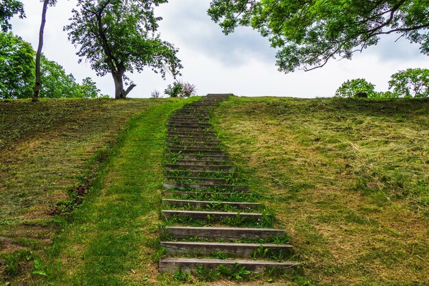 Sceniczny Widok Pola Na Tle Nieba