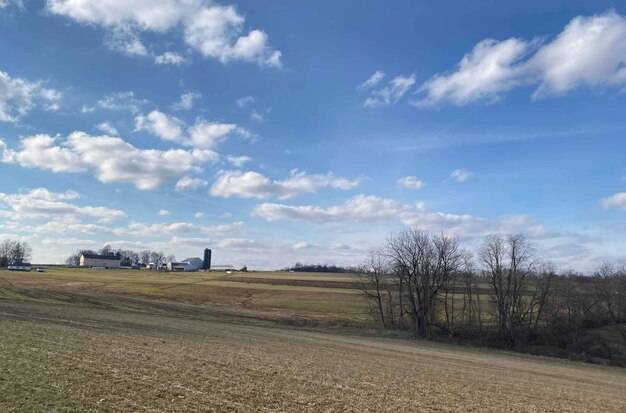 Zdjęcie sceniczny widok pola na tle nieba