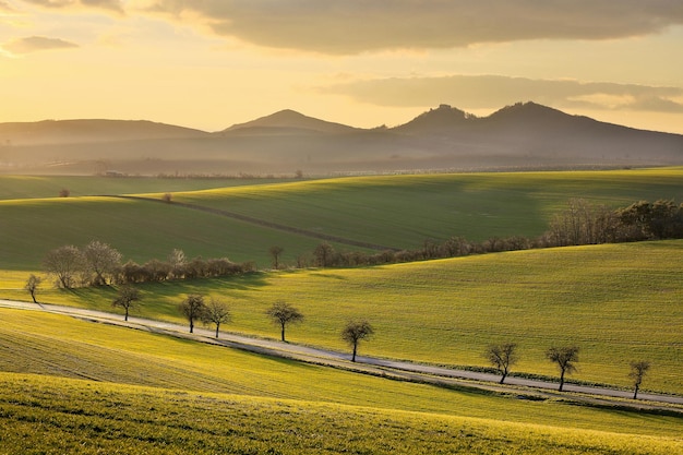 Sceniczny widok pola na tle nieba