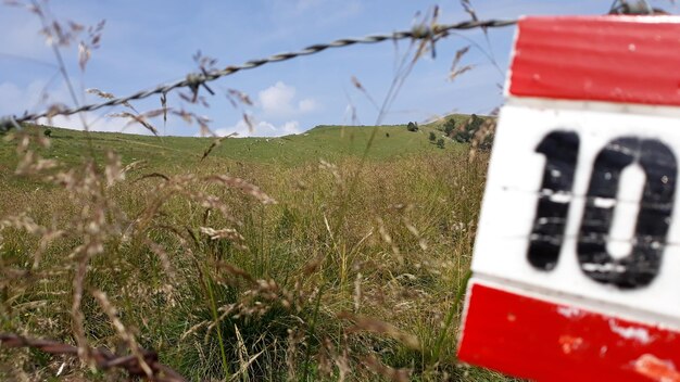 Zdjęcie sceniczny widok pola na tle nieba