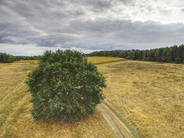 Zdjęcie sceniczny widok pola na tle nieba