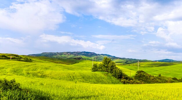 Sceniczny Widok Pola Na Tle Nieba