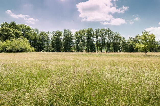 Zdjęcie sceniczny widok pola na tle nieba