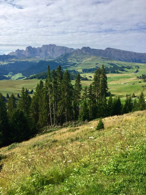 Zdjęcie sceniczny widok pola na tle nieba