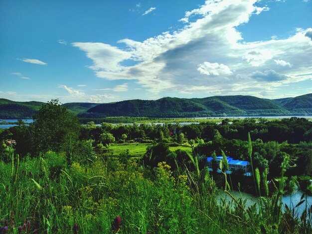 Zdjęcie sceniczny widok pola na tle nieba