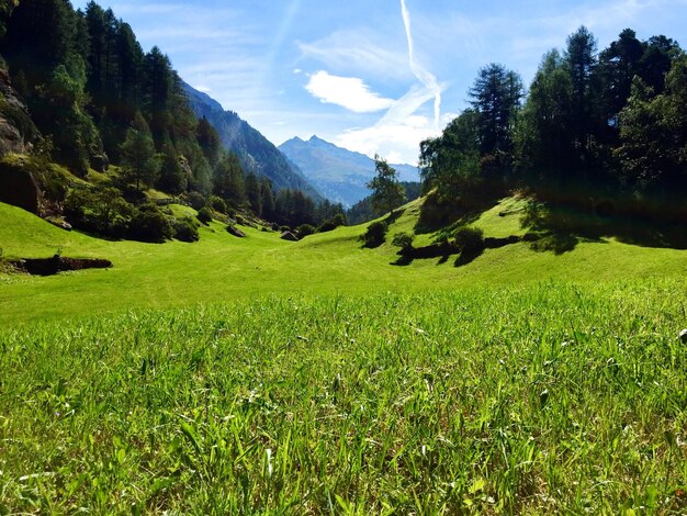 Zdjęcie sceniczny widok pola na tle nieba