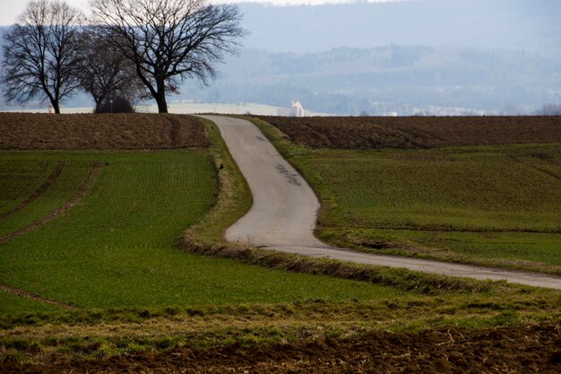 Zdjęcie sceniczny widok pola na tle nieba