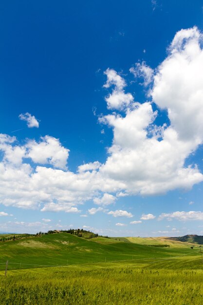 Sceniczny widok pola na tle nieba