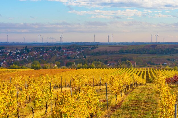 Zdjęcie sceniczny widok pola na tle nieba