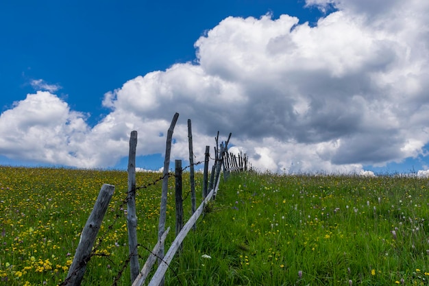 Zdjęcie sceniczny widok pola na tle nieba