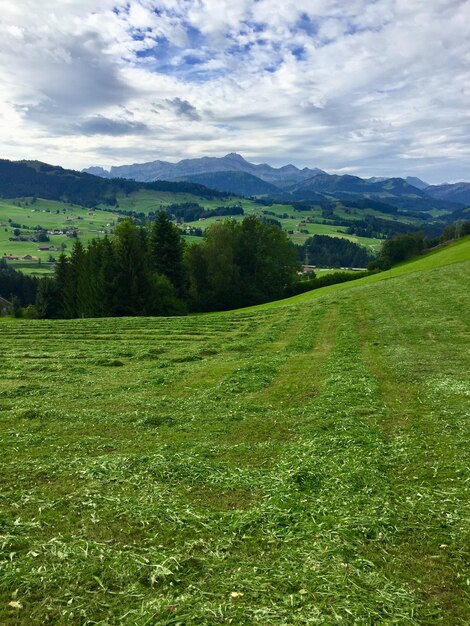 Zdjęcie sceniczny widok pola na tle nieba