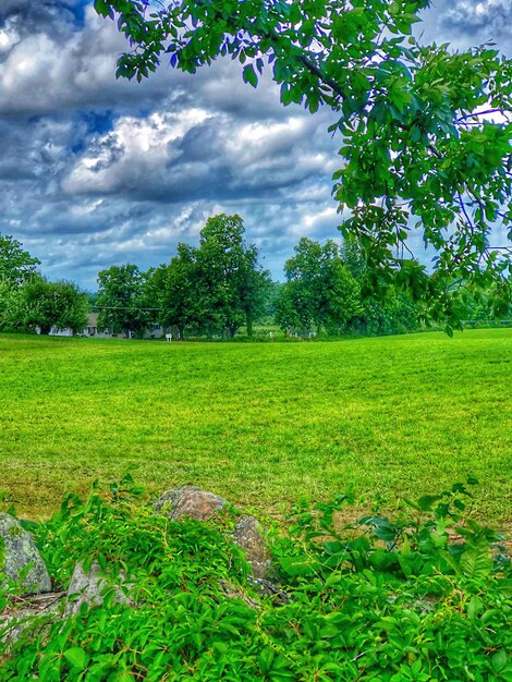 Zdjęcie sceniczny widok pola na tle nieba