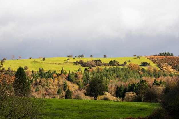 Sceniczny widok pola na tle nieba