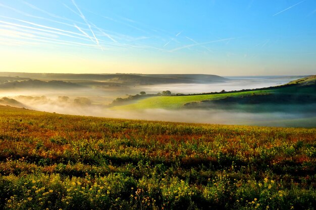 Zdjęcie sceniczny widok pola na tle nieba