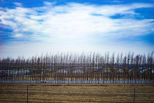 Zdjęcie sceniczny widok pola na tle nieba