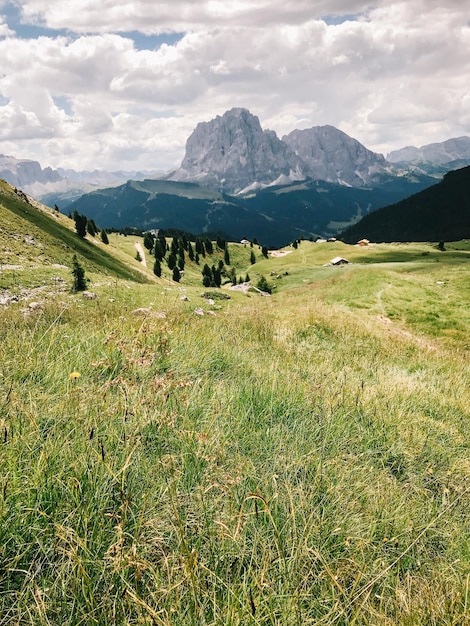 Zdjęcie sceniczny widok pola na tle nieba