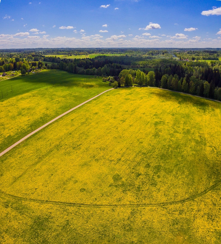 Zdjęcie sceniczny widok pola na tle nieba
