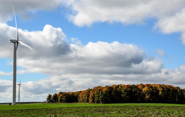 Zdjęcie sceniczny widok pola na tle nieba