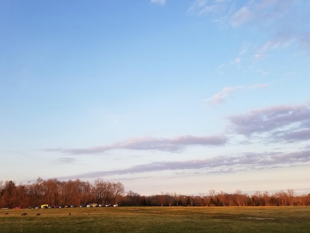 Zdjęcie sceniczny widok pola na tle nieba