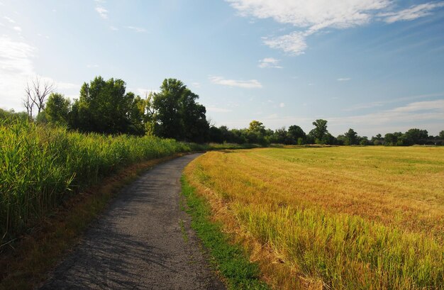 Zdjęcie sceniczny widok pola na tle nieba