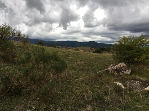 Zdjęcie sceniczny widok pola na tle nieba