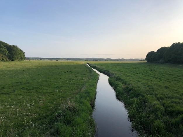 Zdjęcie sceniczny widok pola na tle nieba