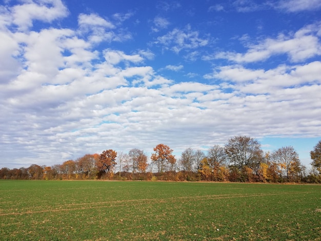 Zdjęcie sceniczny widok pola na tle nieba