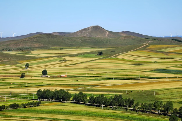 Sceniczny widok pola rolniczego na jasnym niebie